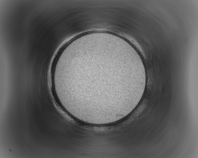 X0000086761080200705111710