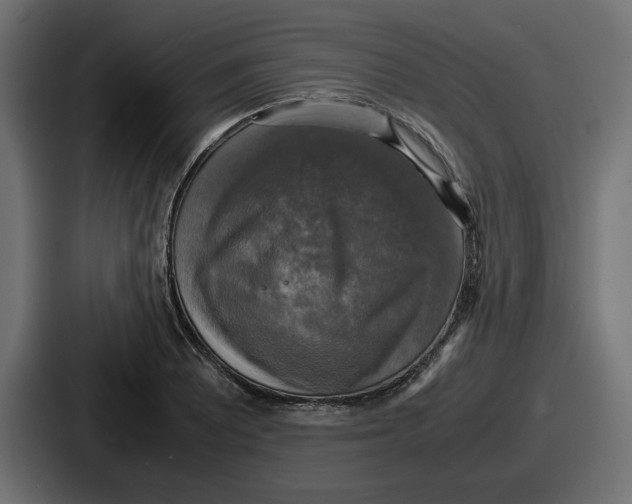 X0000086761081200705111710