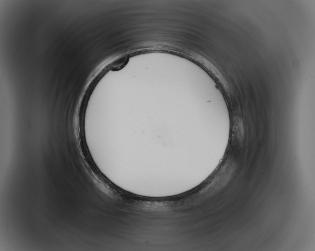 X0000086761082200705111710