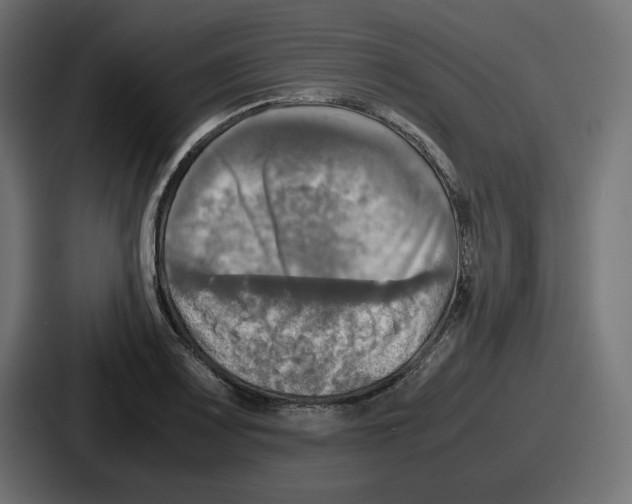 X0000086761083200705111710