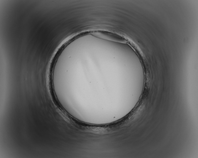 X0000086761085200705111710