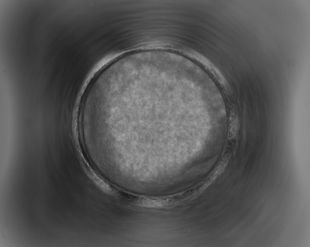 X0000086761086200705111710