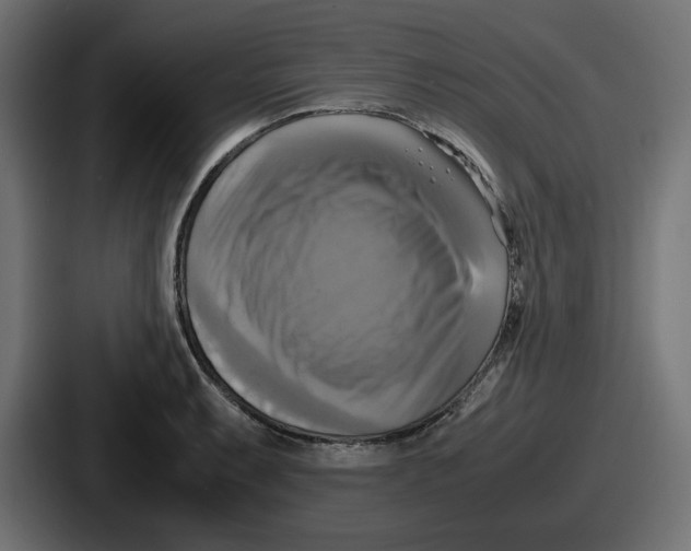 X0000086761087200705111710