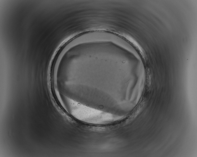 X0000086761088200705111710