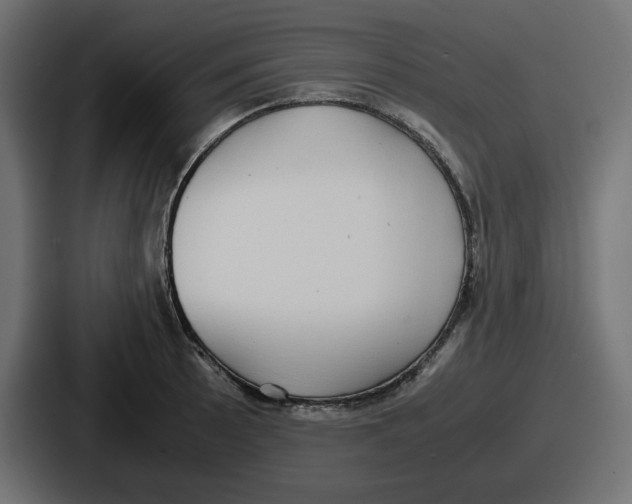 X0000086761089200705111710