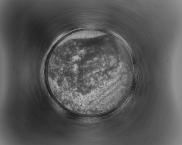 X0000086761091200705111710