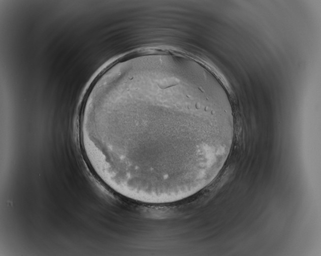 X0000086761092200705111710