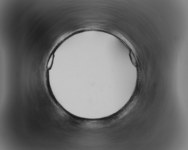 X0000086761093200705111710