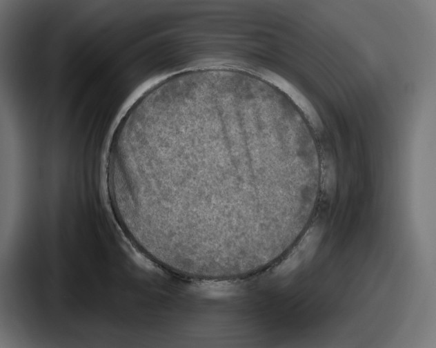 X0000086761094200705111710