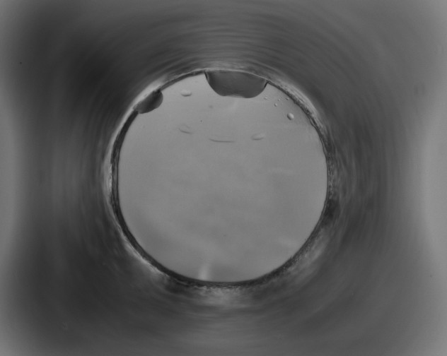 X0000086761095200705111710