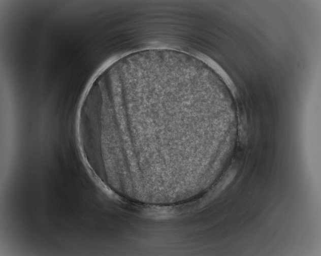 X0000086761096200705111710