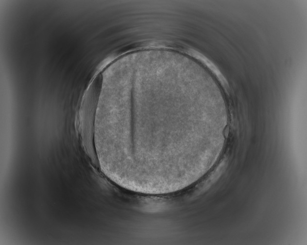 X0000086761097200705111710