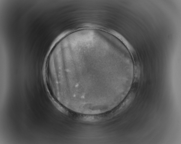 X0000086761098200705111710