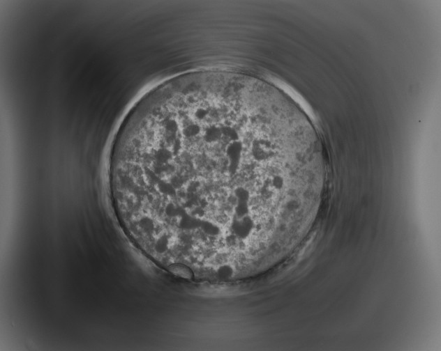 X0000086761099200705111710