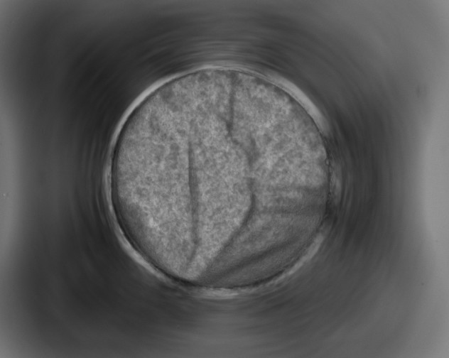 X0000086761100200705111710