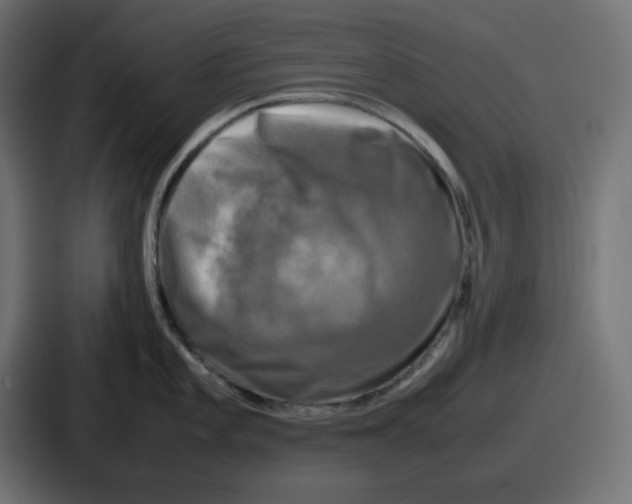 X0000086761101200705111710