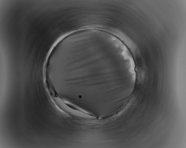 X0000086761102200705111710