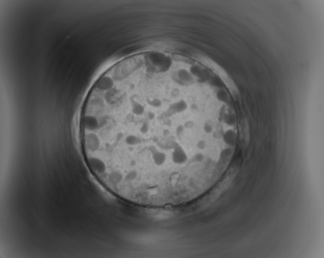 X0000086761103200705111710