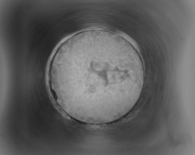 X0000086761104200705111710