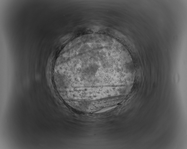 X0000086761105200705111709