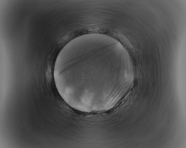 X0000086761106200705111709