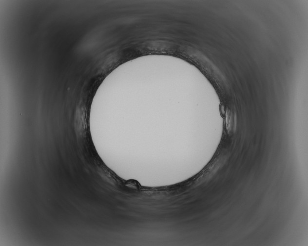 X0000086761107200705111709