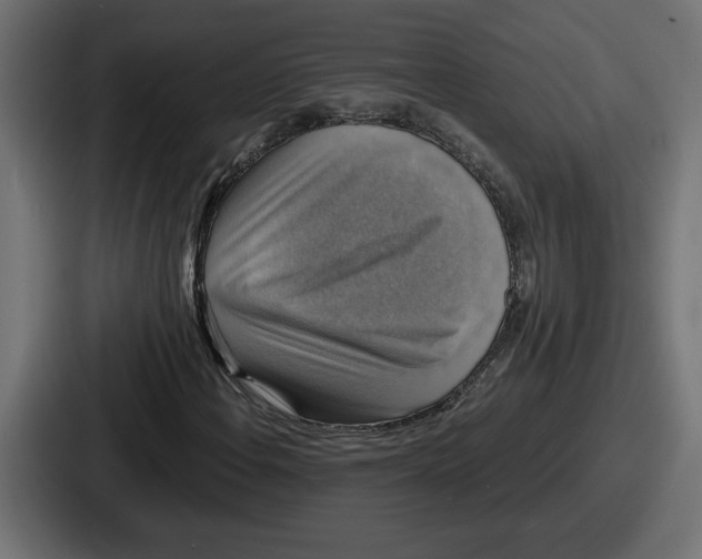 X0000086761108200705111709