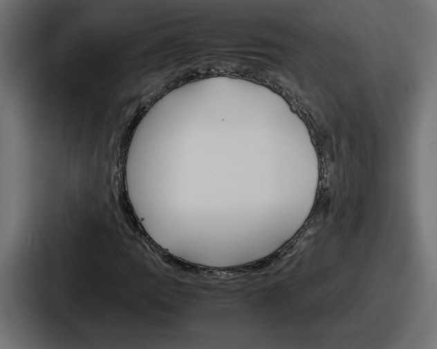 X0000086761109200705111709