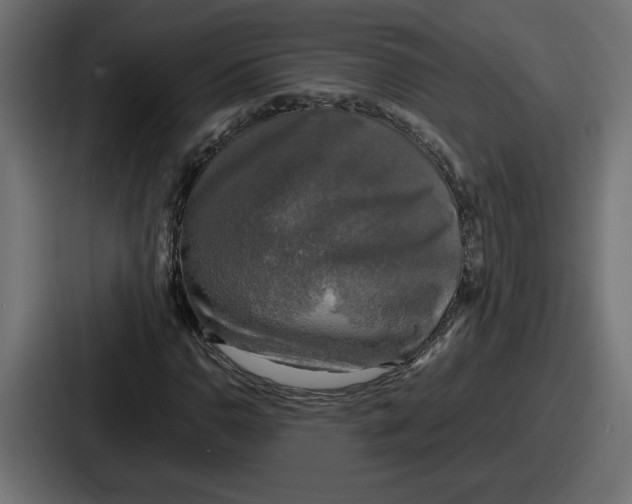 X0000086761110200705111709