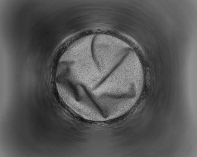 X0000086761112200705111709