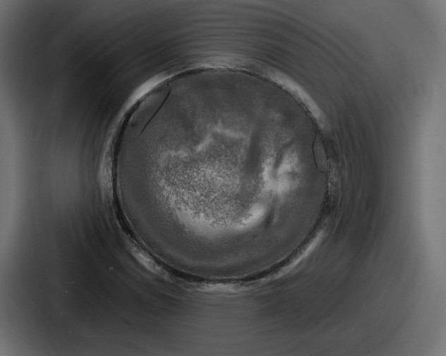 X0000086761114200705111709