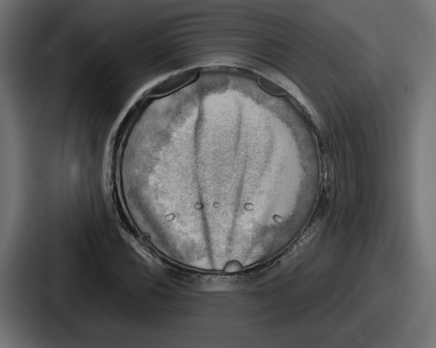 X0000086761116200705111709