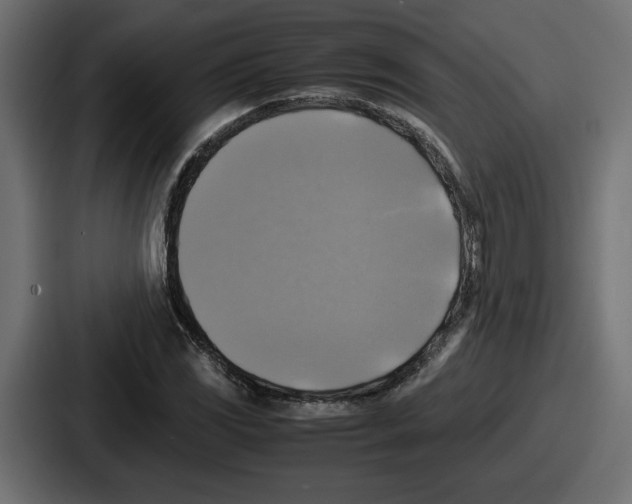 X0000086761117200705111709