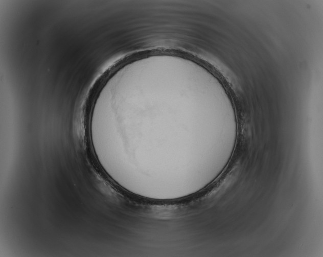 X0000086761118200705111709