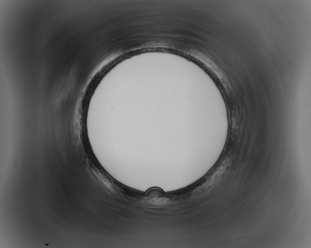 X0000086761119200705111709