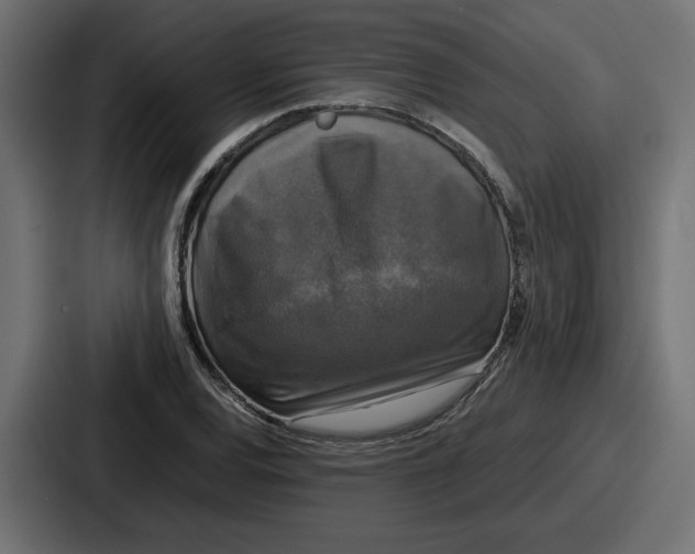 X0000086761120200705111709