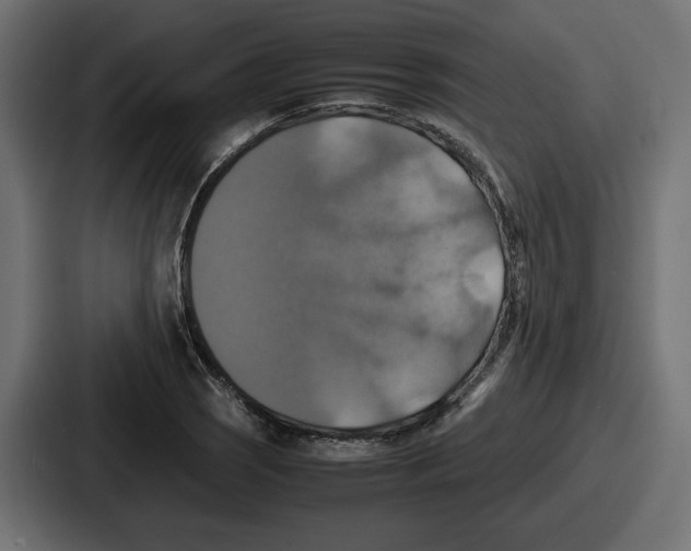 X0000086761121200705111709