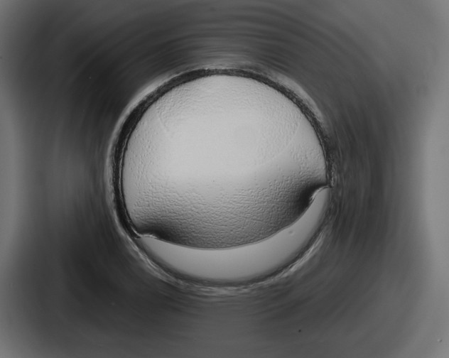 X0000086761122200705111709