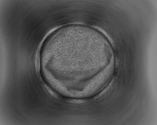 X0000086761123200705111709