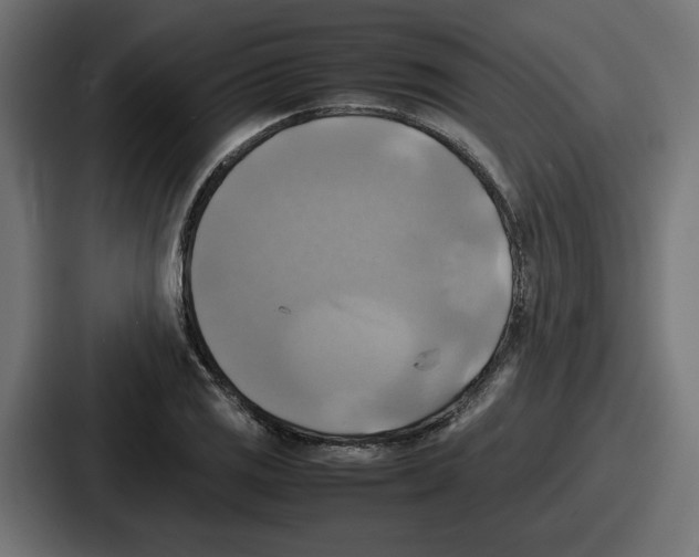 X0000086761125200705111709