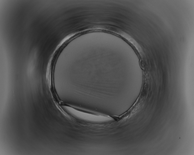 X0000086761127200705111709