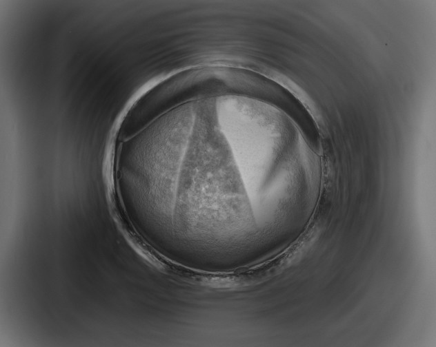 X0000086761128200705111710