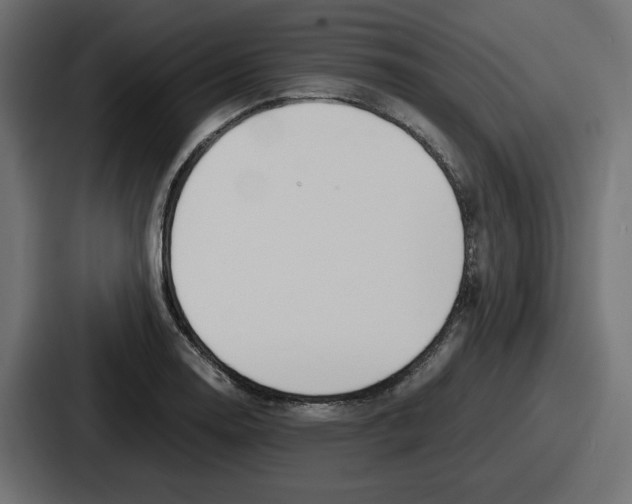 X0000086761130200705111710