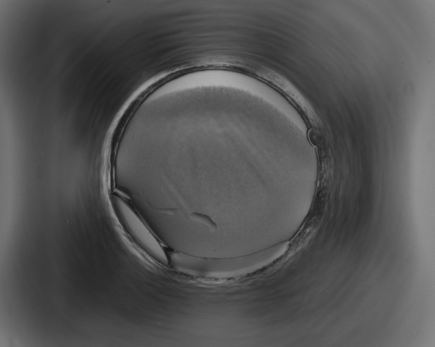 X0000086761132200705111710