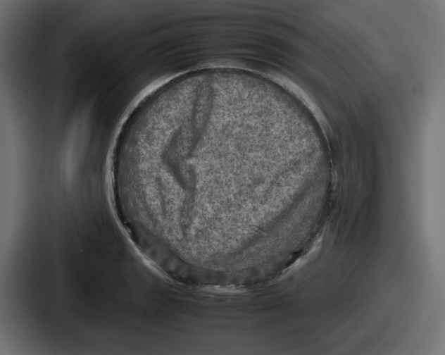 X0000086761133200705111710