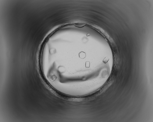 X0000086761134200705111710