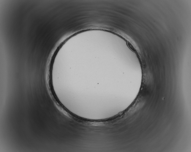 X0000086761136200705111710