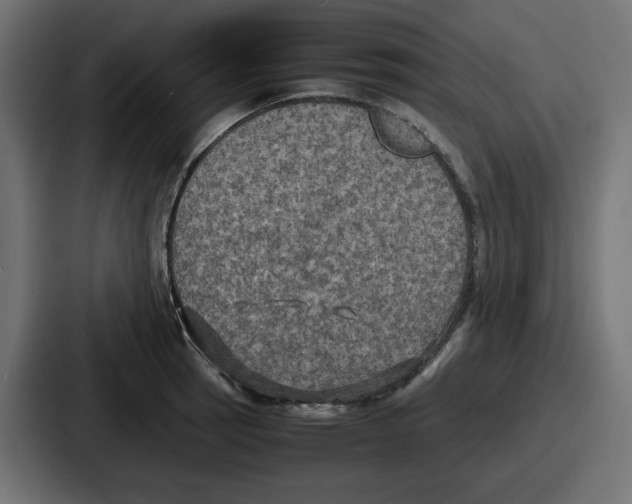 X0000086761137200705111710