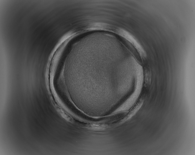 X0000086761138200705111710