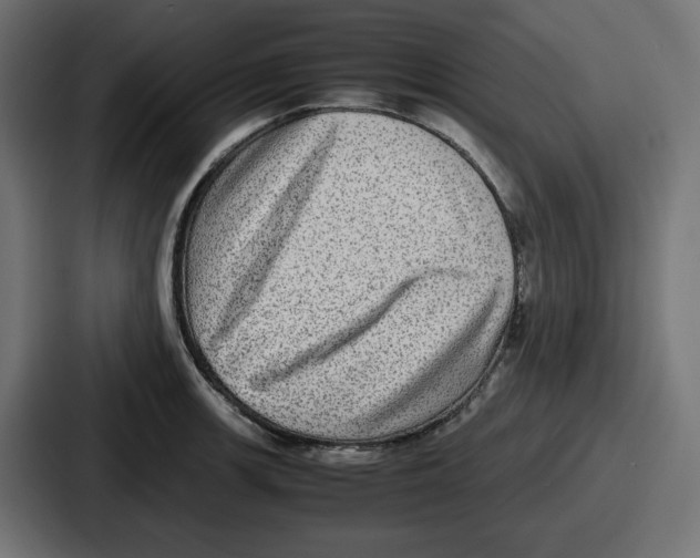 X0000086761139200705111710